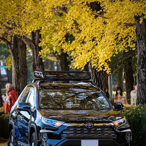 RAV4 AXAH54