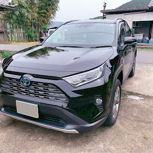 RAV4 AXAH54