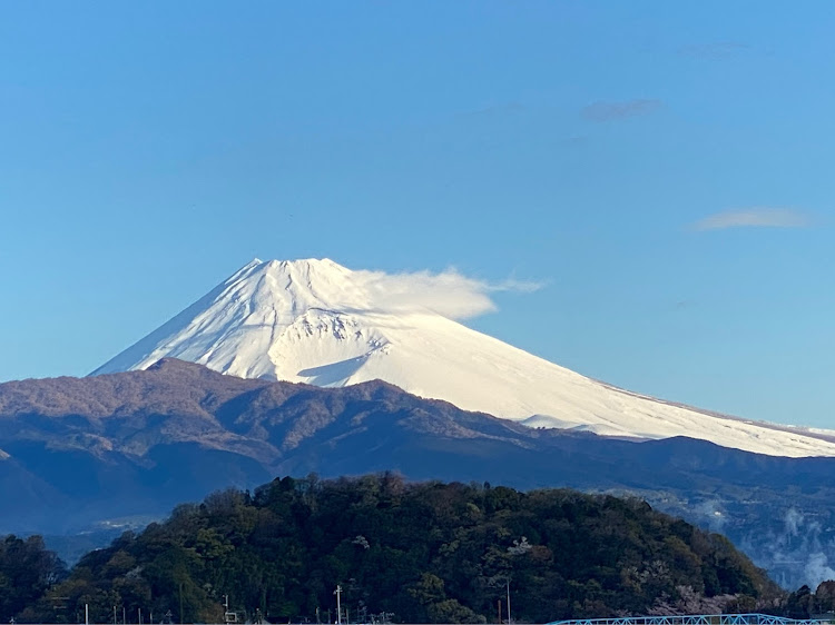 の投稿画像3枚目