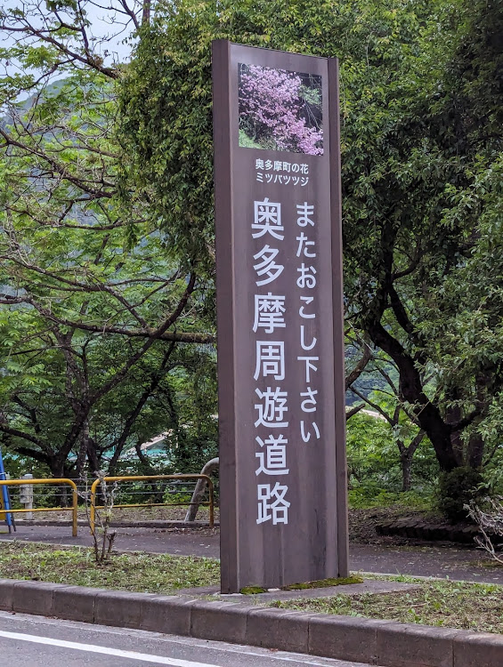 ピクシススペースカスタムの奥多摩周遊道路・奥多摩ドライブ・大麦代駐車場・自然を満喫に関するカスタム事例の投稿画像11枚目