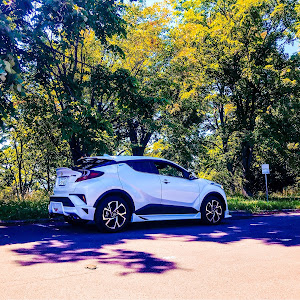 C-HR NGX50