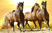 Horses Wallpapers NewTab Theme small promo image