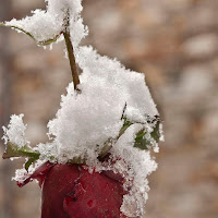 L'inverno mi ha piegato di 