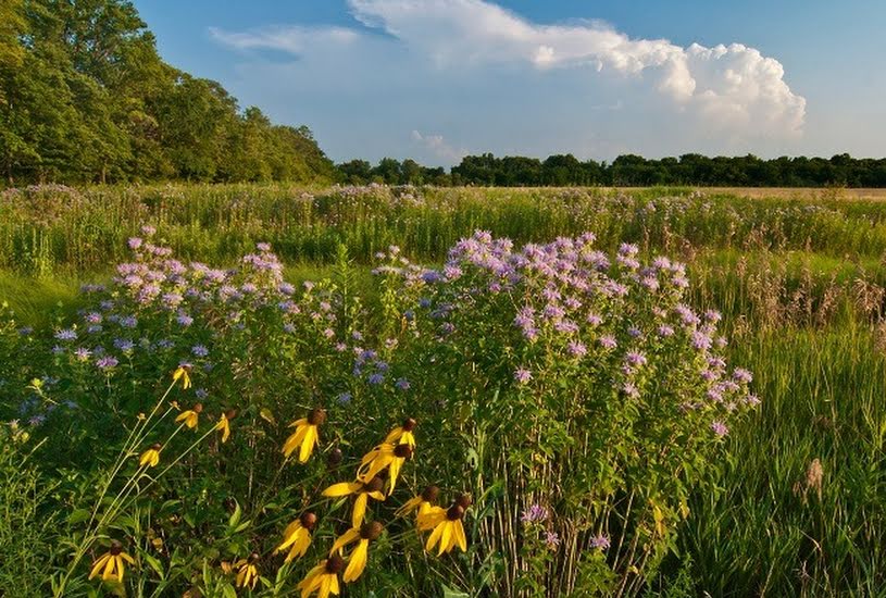  Vente Terrain à bâtir - 900m² à Amboise (37400) 