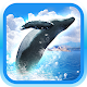 REAL WHALES Find the cetacean! Download on Windows