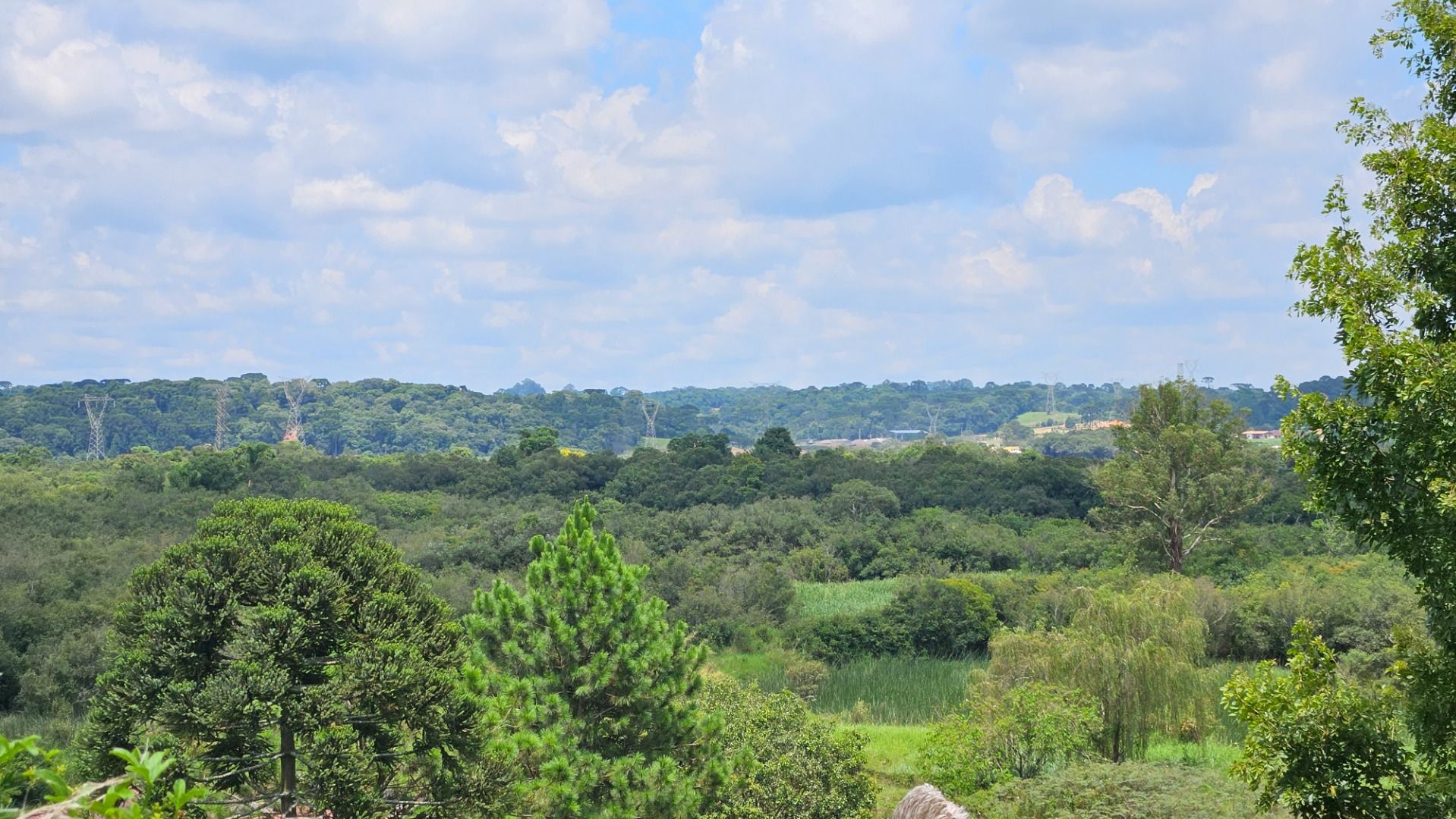 Chácaras à venda Zona Rural