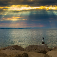 la bottiglia all'alba di 