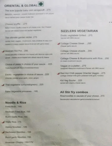 Hotel Bagga International menu 