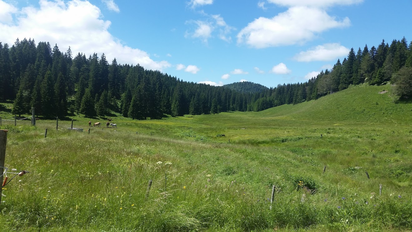 Balade moto à La Pesse dans le haut Jura Fmn8_rvxeJneVJuck6gJLqLii-RTOmsj1giwkl9qQ5i-NXlDnUa2QJRxS6K9SB-cRxV1K07PI8NlFr-Zrz1tHhPNAUbMtWJNLM0raHB-t6oJURW1Hxr5NUpC6cAamDWTg4BR2A5vHctA1glF1ylu2eZEOovIqZm5YvMNJNIhDhfDXN8jNfgF9ucK04f8tB7d3qRntZ2mVRLIiVP9rS36YjTZACJNohoxA2Zy1wHEKkVt4qv2SM8mwAAZOkEATWzeG9h0xQgxaIJ9WA1yfZWM9S3k-5bdOqzwvM4dHs7J5MsuMSu4Avc_JC32Rjo8G0sa4jOQRNya0TSH9wk_H7vFliU1VXca-uqzxhlPApcslvC2Oe0oulpOdRfjtBjxocqViWna37JRpm83GrMde1vy6O6oHw6y_E-JPzENYwDj6UFvV5JDfYskxqGAXYx-c7pYvVDZMuENXrAGaHWaXSYRiATYIofQUKB5fYXPlenPb1dwNdFSBJ2OfdvADVL2QpjN7fcY4JsDlxzQ5K-U9TCLQaMUEdya8vlhzrsAjEAzDyJ8EZkowbjuphmdE-nf1jxk4nbVPFAIvaMw2O_ketX17JLDyq-D1603=w1320-h743-no