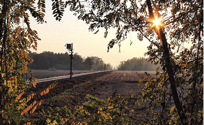 Viaggiando in Treno di roberto_sacramone