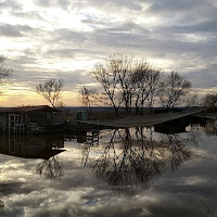 Baracche a Massaciuccoli  di 