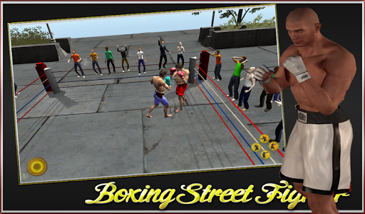 Boxing Street Fighter 3D