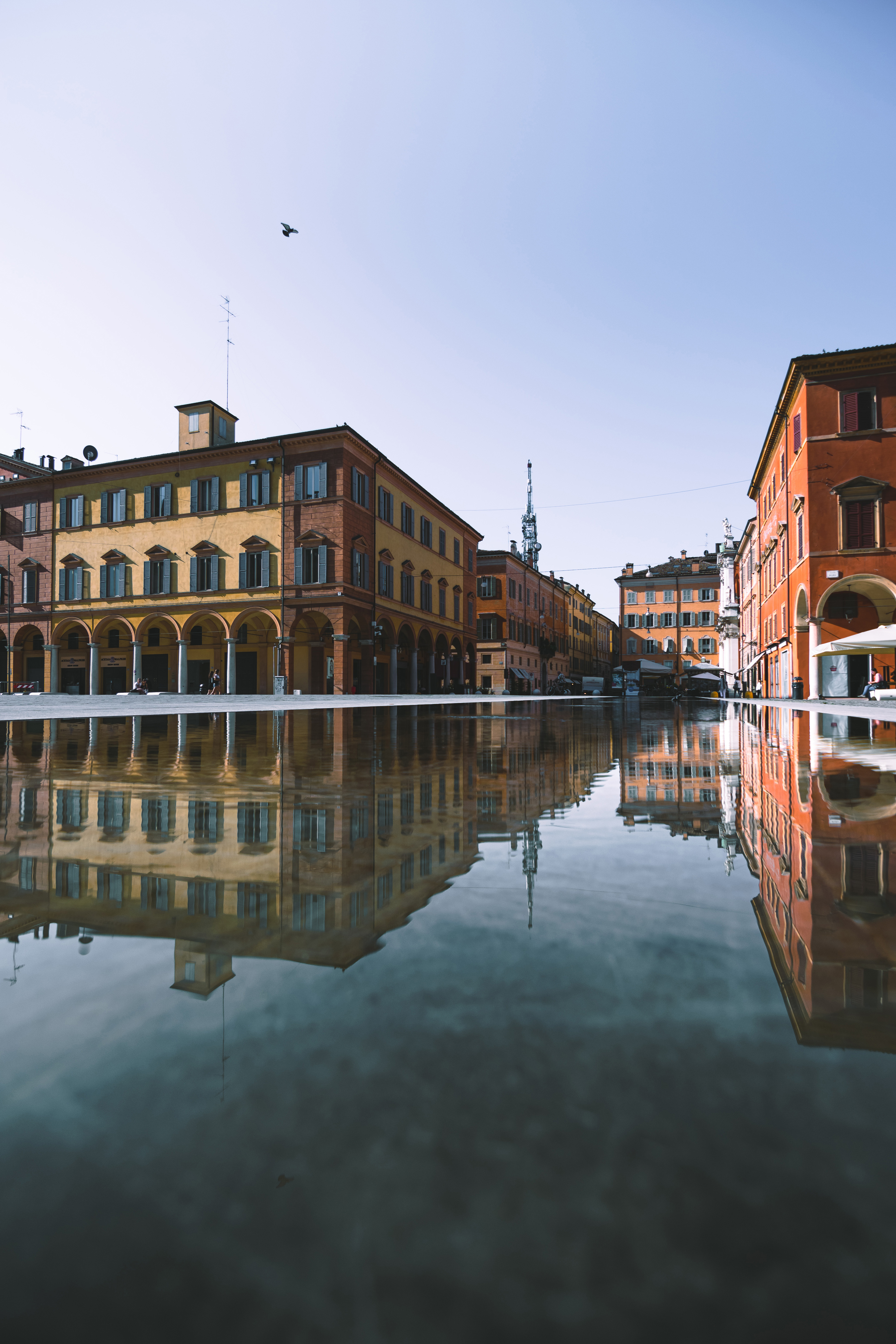 Modena sottosopra di neuropape