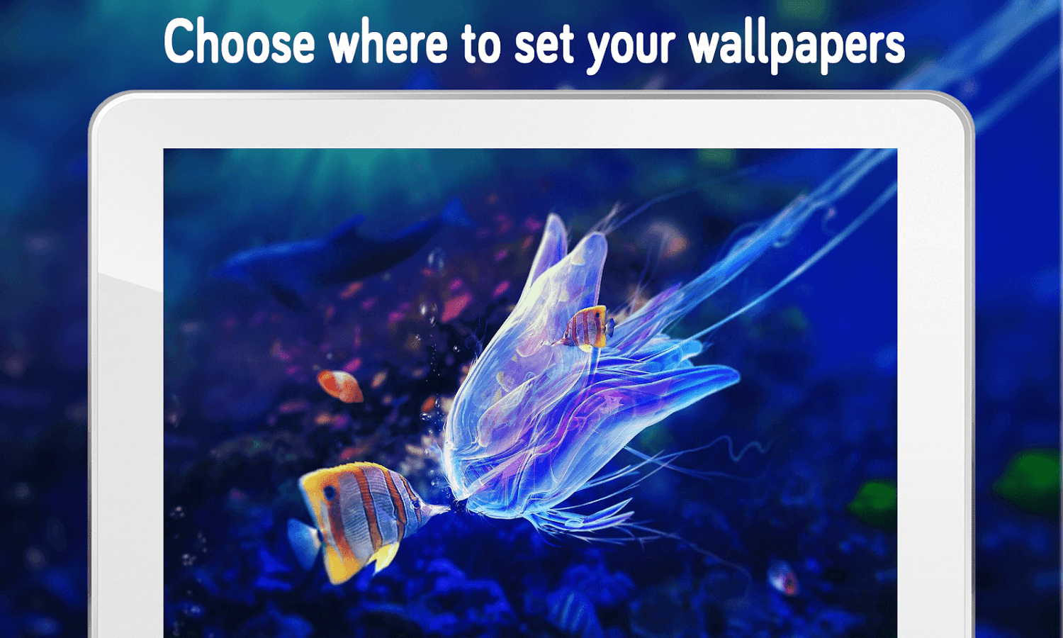 Fish Wallpaper 4k Apl Android Di Google Play