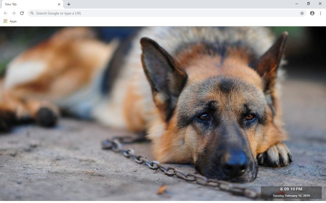 German Shepherd New Tab