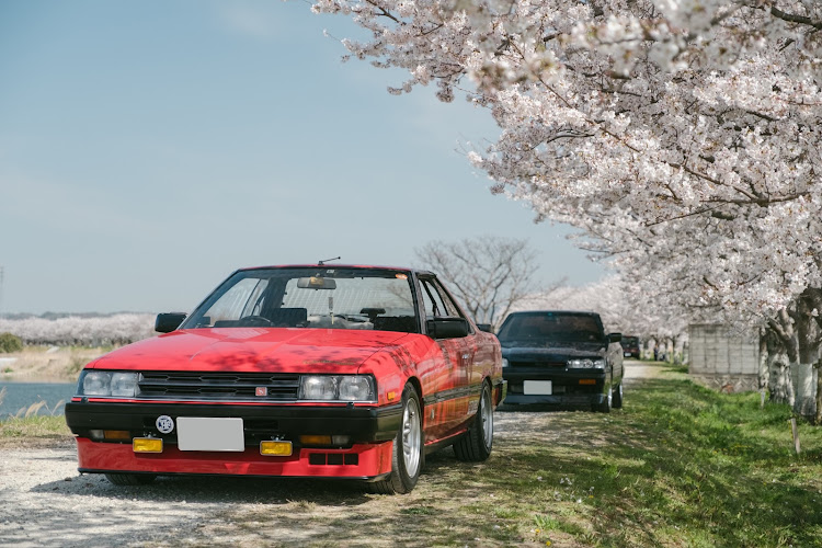 スカイラインの桜とコラボ🌸・サクラと愛車・R30スカイライン・R31スカイライン・ドライブに関するカスタム事例の投稿画像7枚目