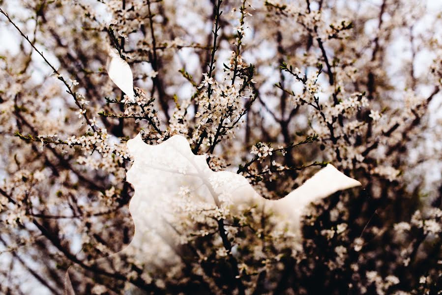 Photographer sa kasal Aleksandr Medvedenko (bearman). Larawan ni 19 Abril 2016