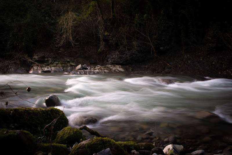 Fresche acque dell'appennino Tosco-emiliano di pieralisa