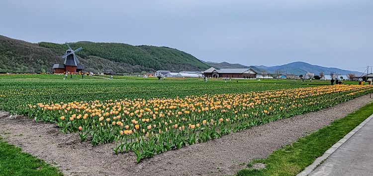 レガシィツーリングワゴンの道東旅行・仲良し夫婦💕・奥さんレガシィ・GWの思い出・5月もよろしくお願いしますに関するカスタム事例の投稿画像4枚目