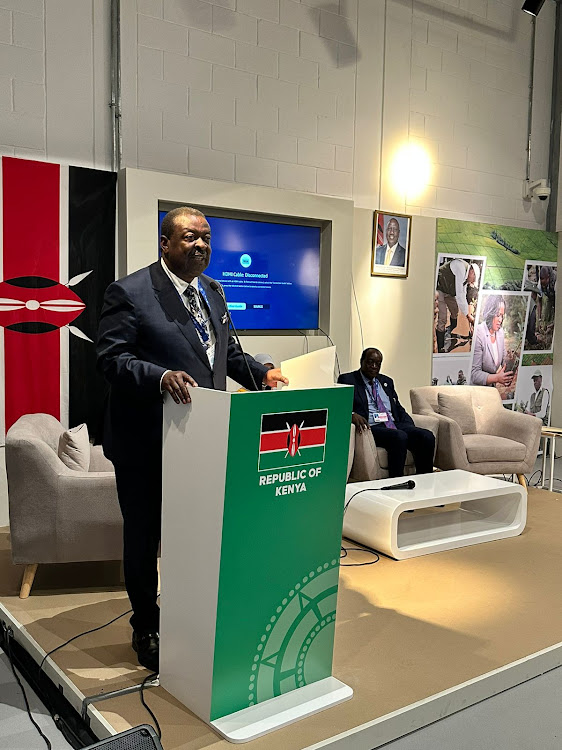 Prime Cabinet Secretary Musalia Mudavadi during the launch of the implementation plan of the UN initiative on Building Climate Resilience for the Urban Poor for Africa on the sidelines of COP28.