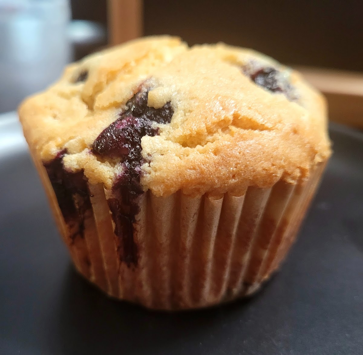 Blueberry Muffin