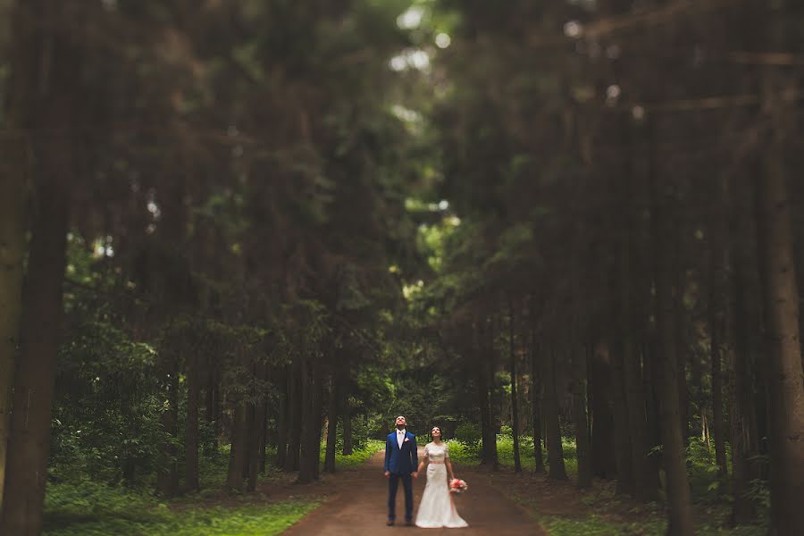 Wedding photographer Serezha Bormatov (serezhabormatov). Photo of 17 June 2014