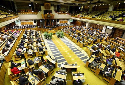 Every MP took an oath to uphold the constitution and to scrutinise the actions of the president in this regard — but on both sides of the aisle political party regulations attempt to force them to instead vote as they are told.