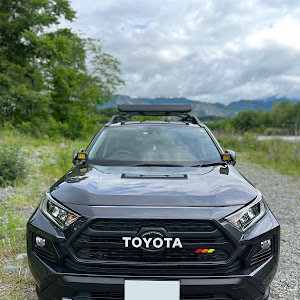 RAV4 MXAA54