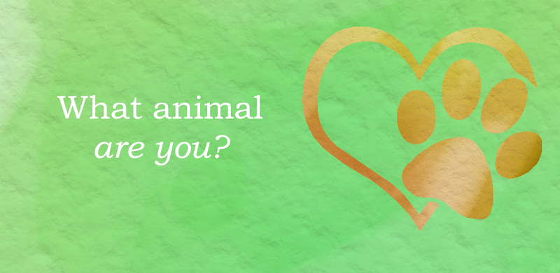 What animal are you? Personality test