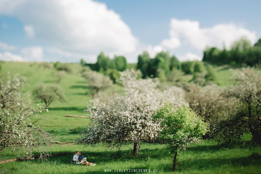 Hochzeitsfotograf Sergey Zinchenko (stkain). Foto vom 22. Mai 2014