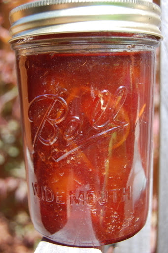 Peach Plum Jam