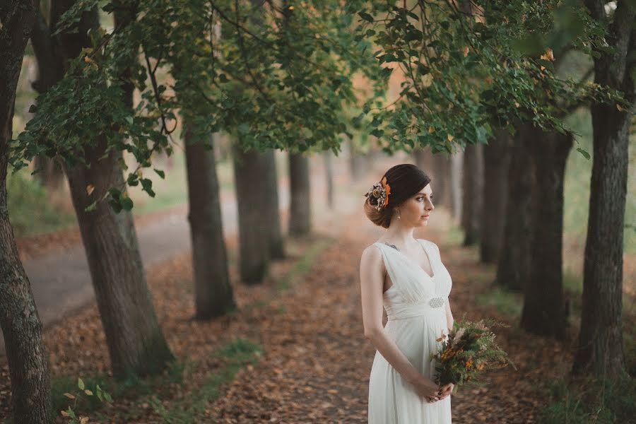 Fotografo di matrimoni Aleksandr Muravev (alexmuravey). Foto del 31 gennaio 2016