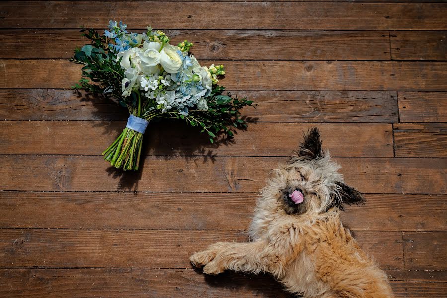 Photographe de mariage Florin Stefan (florinstefan1). Photo du 8 mai 2023