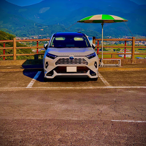 しらぼのプロフィール画像