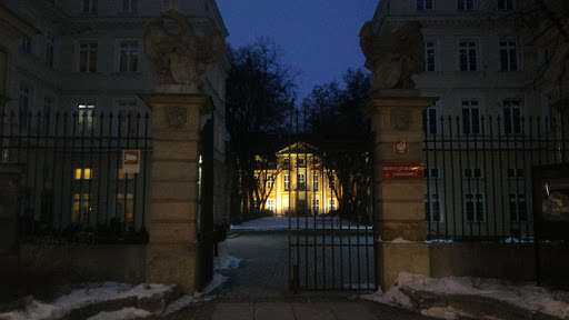 Brama Do Pałacu Czapskich