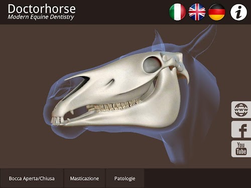 Android application DoctorHorse screenshort