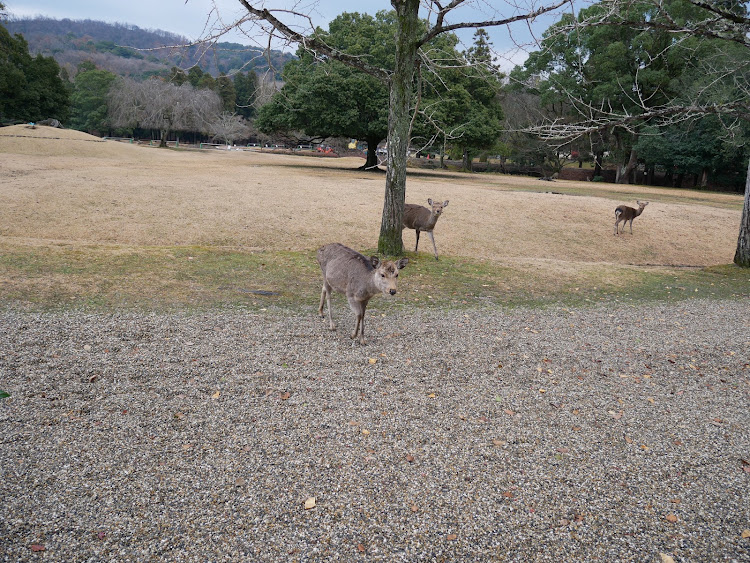 の投稿画像2枚目