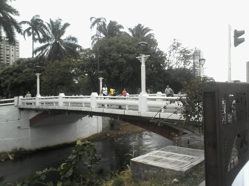 Puente Ortiz