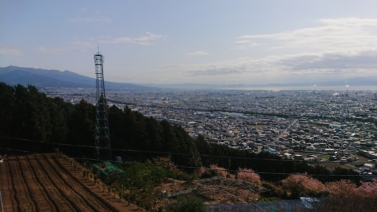 アルテッツァの早春・3月スタート・公園梅園・公園散歩に関するカスタム事例の投稿画像12枚目