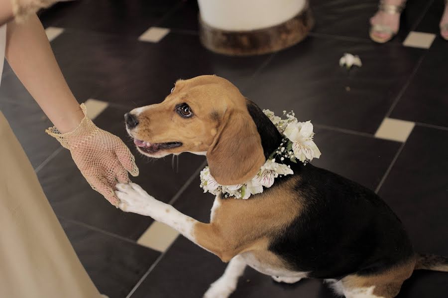 Fotógrafo de bodas Engelbert Vivas (engelbertvivas). Foto del 14 de noviembre 2019