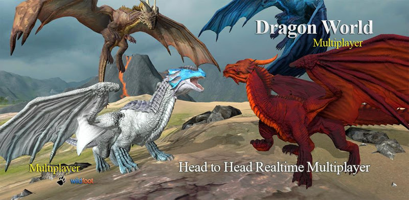 Dragon Multiplayer 3D