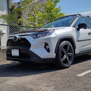 RAV4 AXAH52