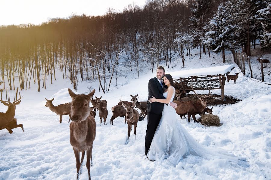 Wedding photographer Senad Orascanin (sands). Photo of 17 August 2015