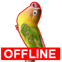 Masteran Lovebird Offline Kicau Love Bird