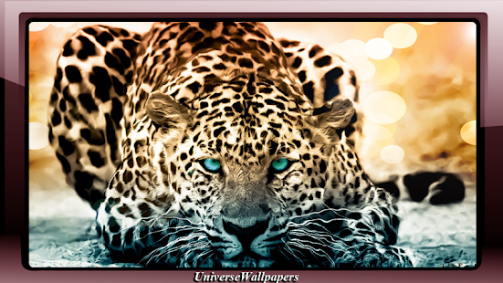 How to download Jaguar Wallpaper lastet apk for bluestacks
