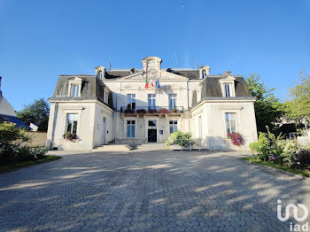 Achetez château princesse occasion, annonce vente à Olivet (45) WB170799889