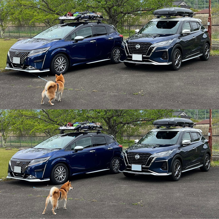 キックスのTeam MAMESHIBA・BBQ・GW・デイズルークス・みんなのステアリングが見たいに関するカスタム事例の投稿画像10枚目