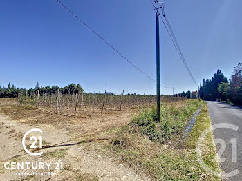 terrain à Ille-sur-Têt (66)