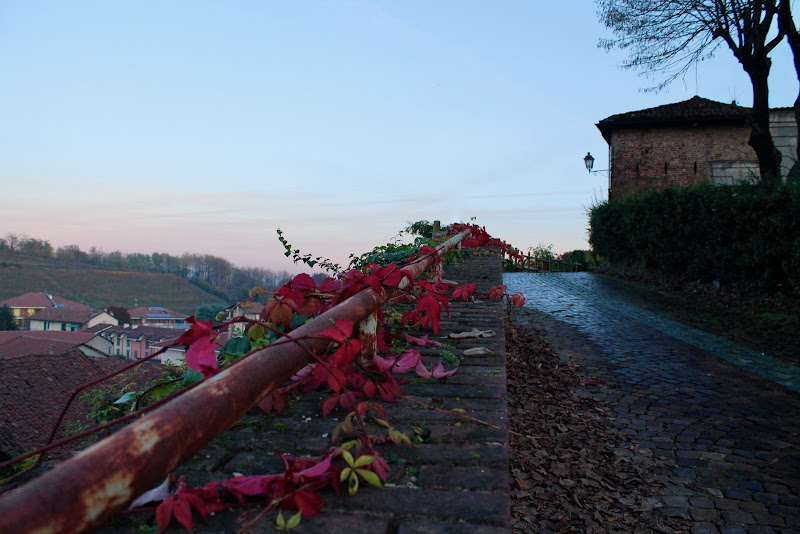 Andezeno e l'autunno di Vera