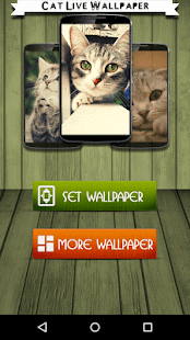 How to mod Cat Live Wallpaper lastet apk for pc